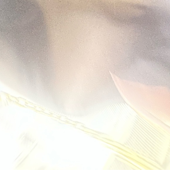 Louis Vuitton Loop Hobo - Picture 8 of 16